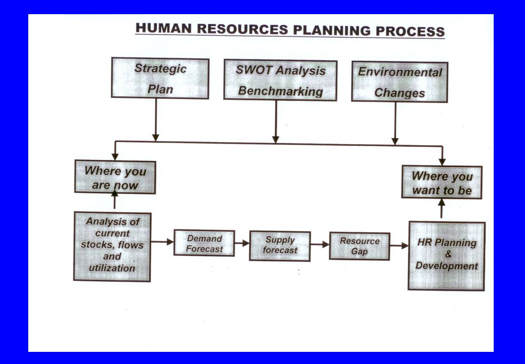 Human Resource Planning Process Chart