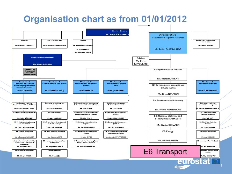 Dg Move Organisation Chart