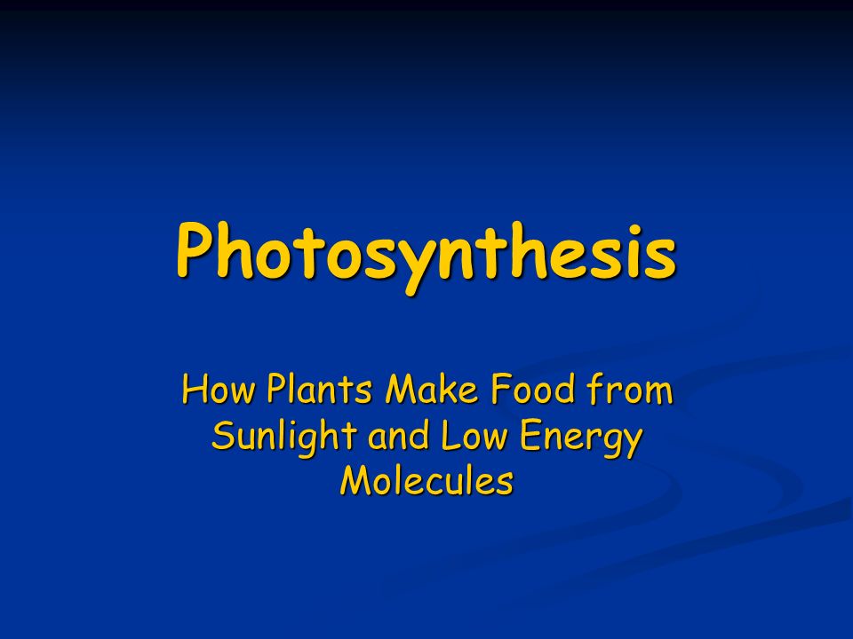 Photosynthesis How Plants Make Food from Sunlight and Low Energy Molecules