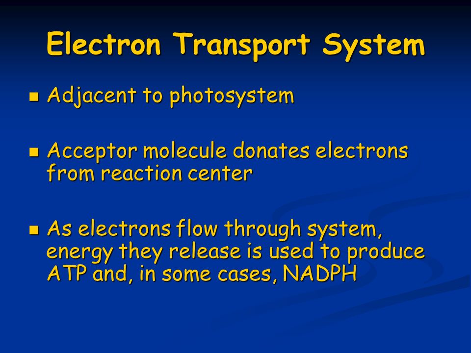 Electron Transport System Adjacent to photosystem Adjacent to photosystem Acceptor molecule donates electrons from reaction center Acceptor molecule donates electrons from reaction center As electrons flow through system, energy they release is used to produce ATP and, in some cases, NADPH As electrons flow through system, energy they release is used to produce ATP and, in some cases, NADPH