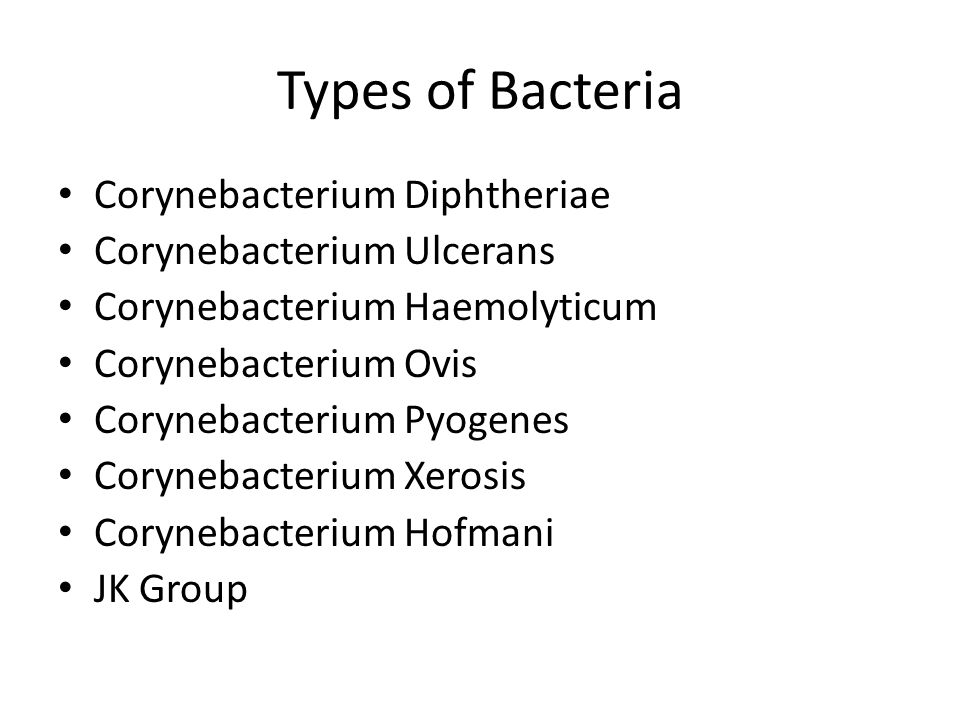 corynebacterium xerosis colony morphology