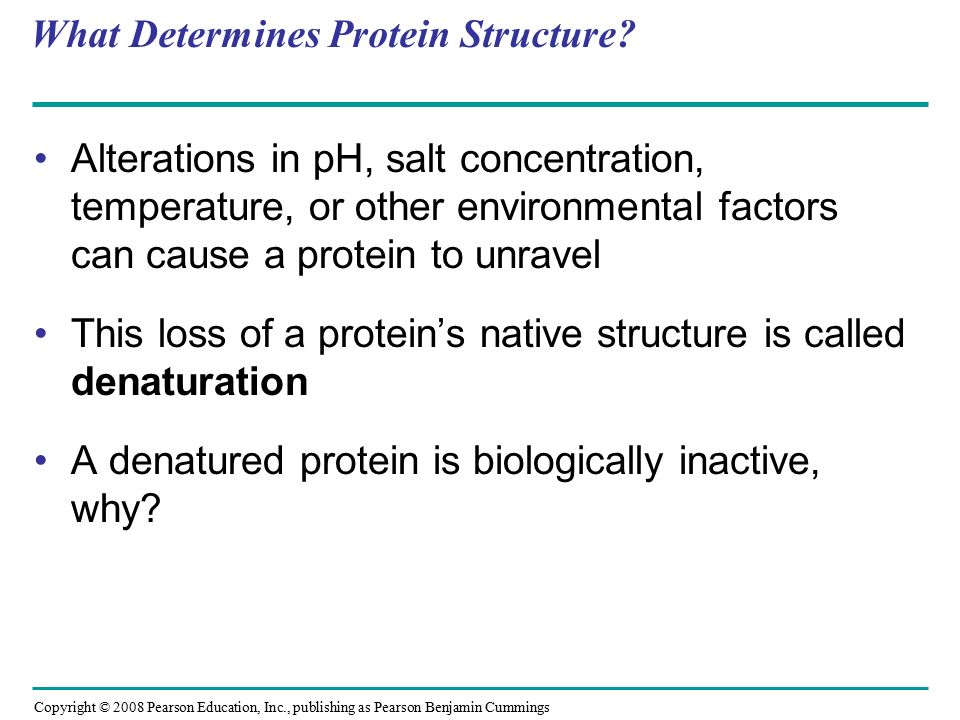 What Determines Protein Structure.