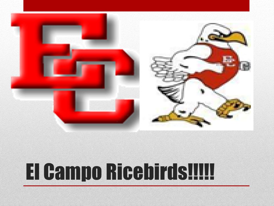El Campo High School By: Matt Sandoval. Mission Statement: El Campo High  School's mission is to close the achievement gap by providing all students  1) - ppt download