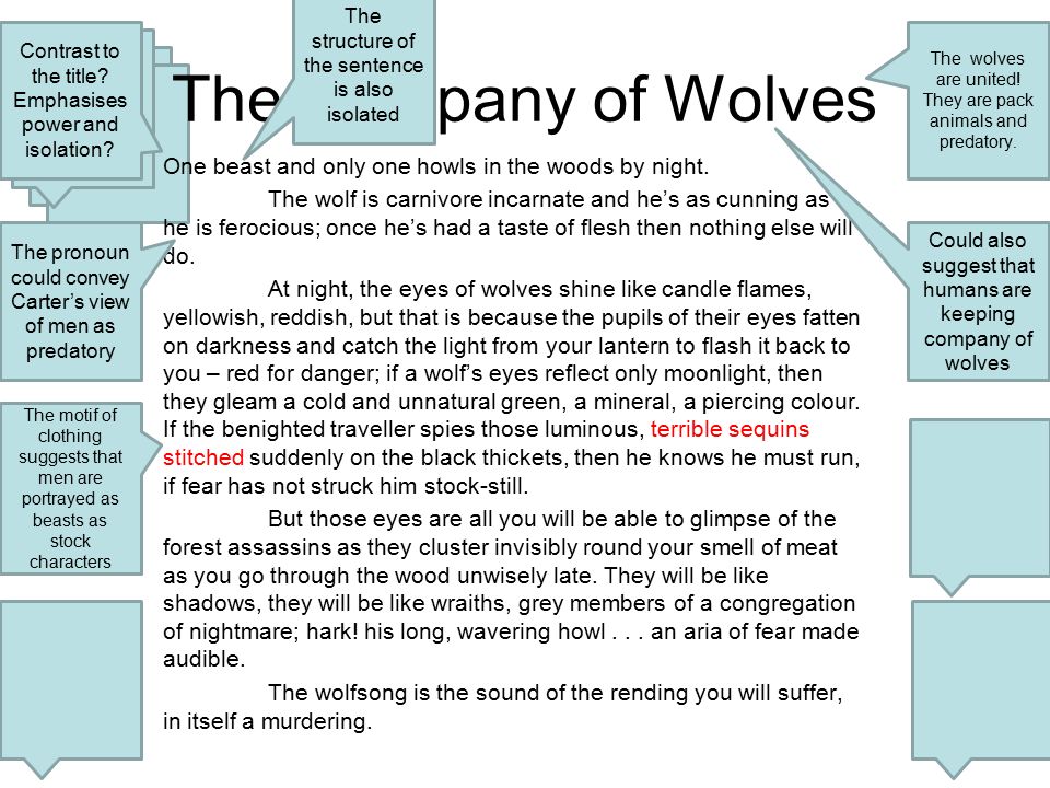 the company of wolves themes