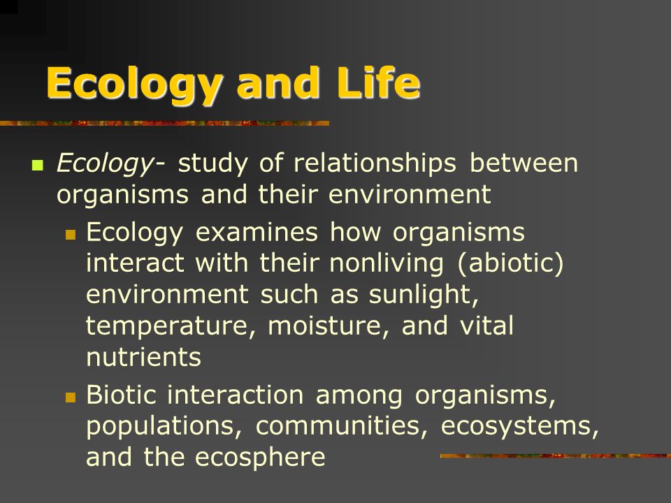 Ecosystems: What are they and how do they work. Ecosystems: What are they and how do they work.