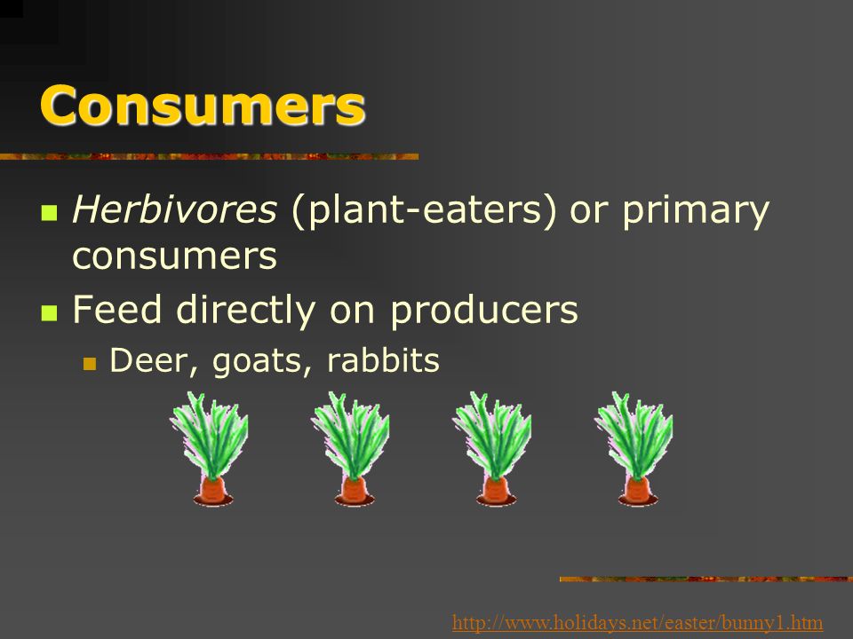 Consumers or Heterotrophs Obtain energy and nutrients by feeding on other organisms or their remains