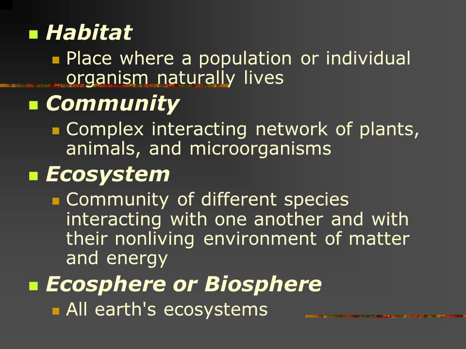 Connections with nature Population Group of interacting individuals of the same species that occupy a specific area at the same time Genetic Diversity Populations that are dynamic groups that change in size, age distribution, density, and genetic composition as a result of changes in environmental conditions