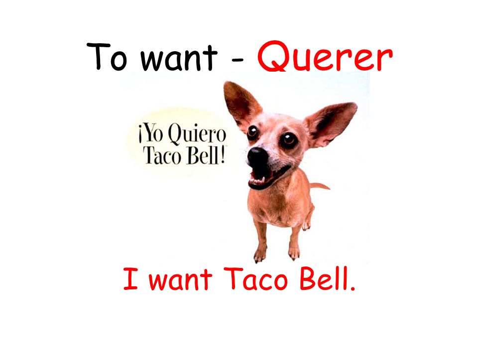 To want - Querer I want Taco Bell.