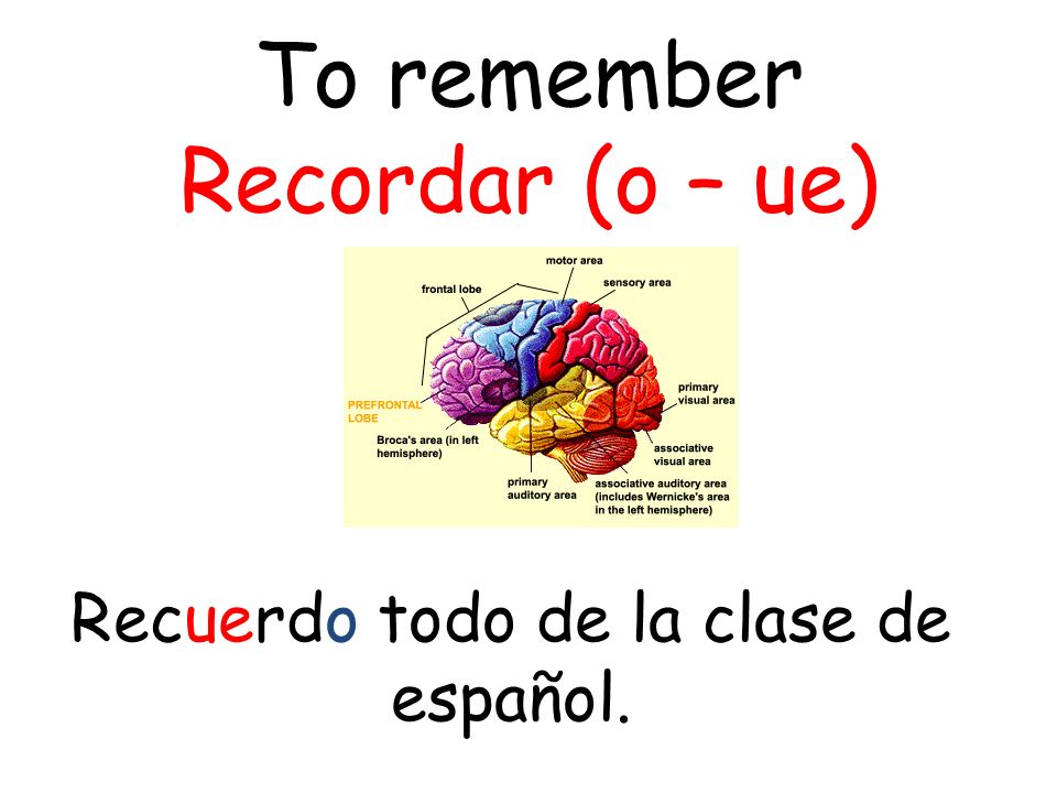 To remember Recordar (o – ue) Recuerdo todo de la clase de español.