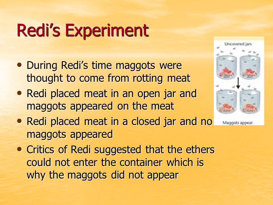 Redi’s Experiment During Redi’s time maggots were thought to come from rotting meat During Redi’s time maggots were thought to come from rotting meat Redi placed meat in an open jar and maggots appeared on the meat Redi placed meat in an open jar and maggots appeared on the meat Redi placed meat in a closed jar and no maggots appeared Redi placed meat in a closed jar and no maggots appeared Critics of Redi suggested that the ethers could not enter the container which is why the maggots did not appear Critics of Redi suggested that the ethers could not enter the container which is why the maggots did not appear