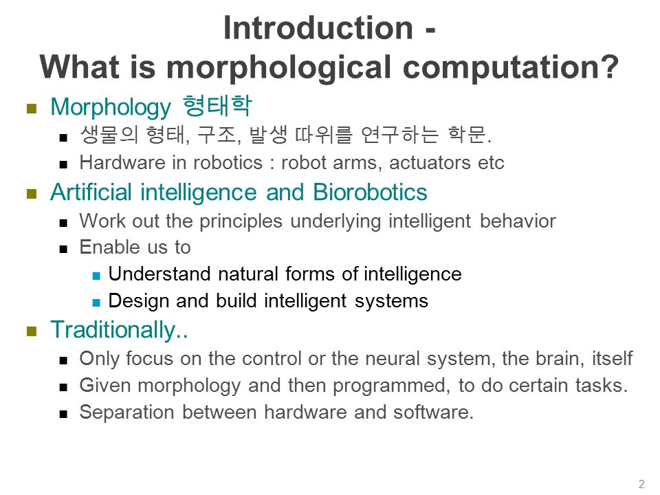 Morphology and Computation