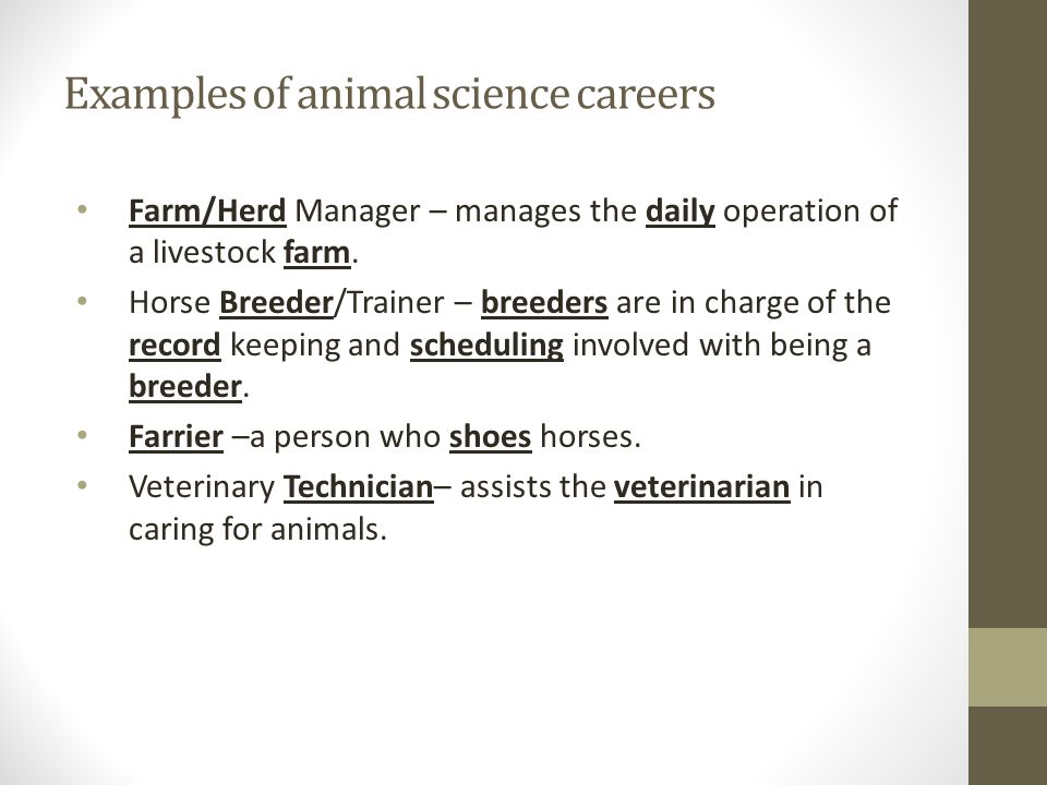 Objective  Remember careers in the animal industry. - ppt download