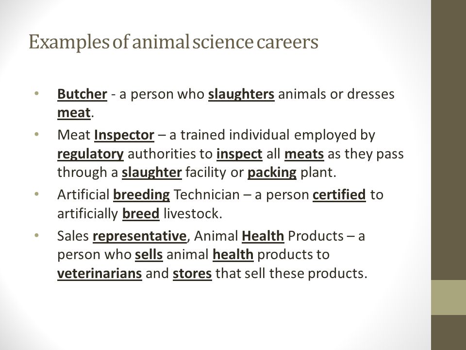 Objective  Remember careers in the animal industry. - ppt download