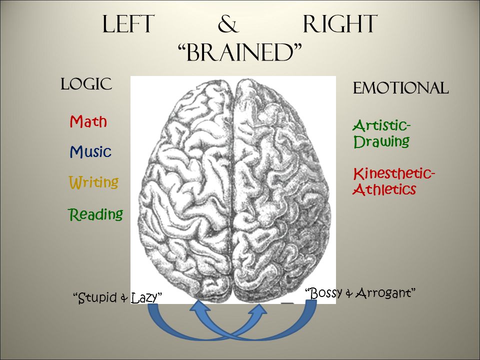Left & right brained Logic Emotional Math Music Writing Reading Artistic- Drawing Kinesthetic- Athletics Stupid & Lazy Bossy & Arrogant