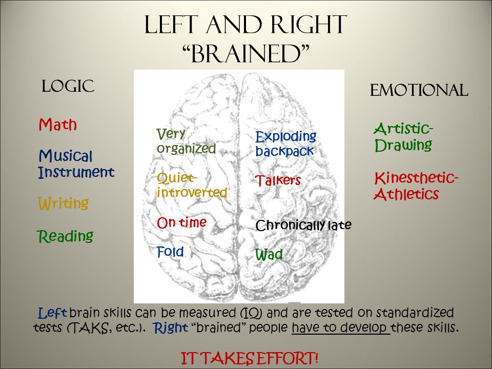 Left and right brained Logic Emotional Math Musical Instrument Writing Reading Artistic- Drawing Kinesthetic- Athletics Very organized Quiet- introverted On time Fold Exploding backpack Talkers Chronically late Wad Left brain skills can be measured (IQ) and are tested on standardized tests (TAKS, etc.).