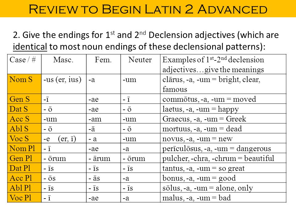 Latin Declension Chart 1 5