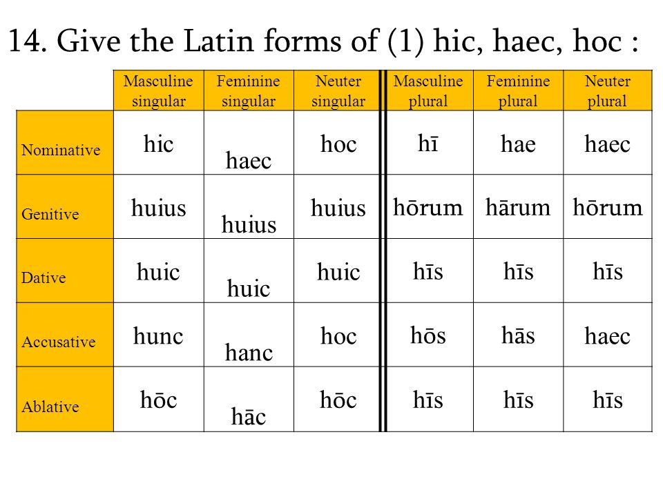 Hic Haec Hoc Chart