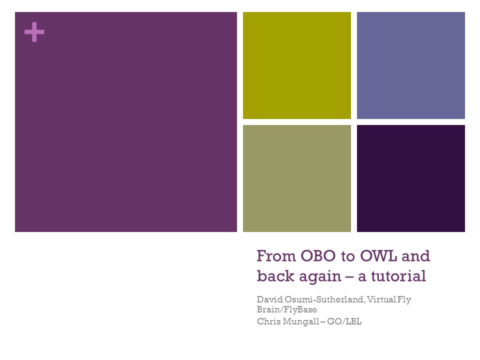 + From OBO to OWL and back again – a tutorial David Osumi-Sutherland, Virtual Fly Brain/FlyBase Chris Mungall – GO/LBL