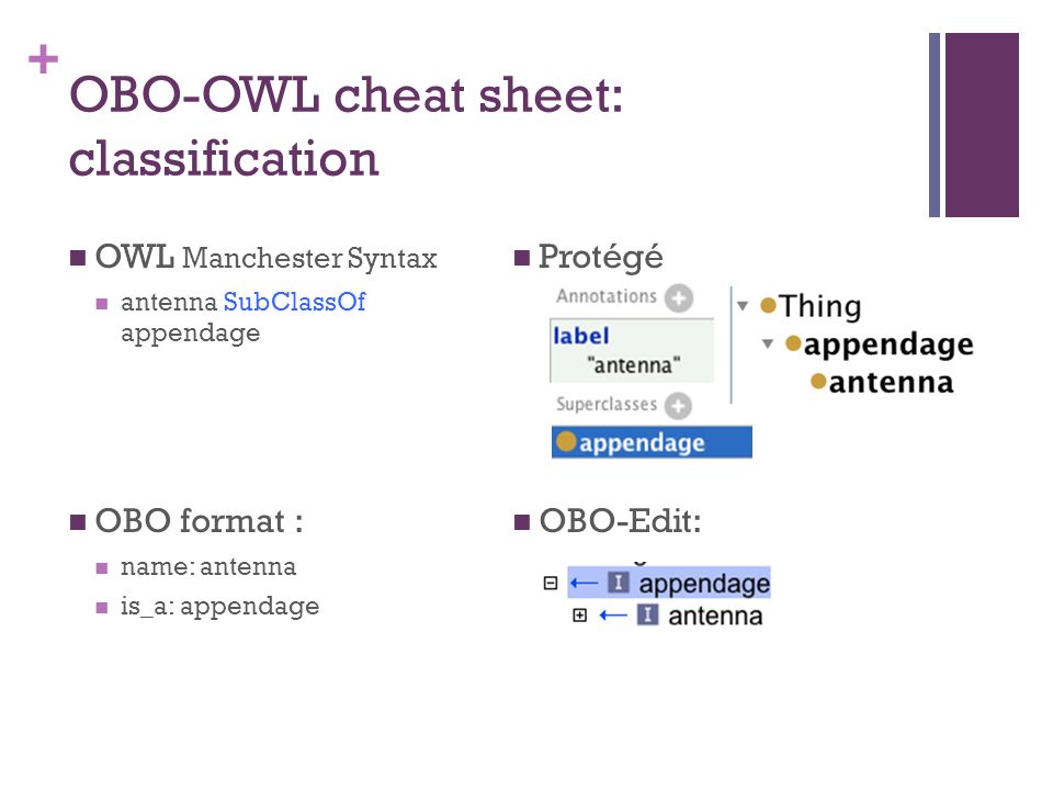 + OBO-OWL cheat sheet: classification OWL Manchester Syntax antenna SubClassOf appendage OBO format : name: antenna is_a: appendage Protégé OBO-Edit: