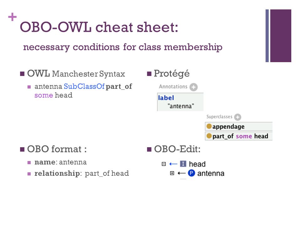 + OBO-OWL cheat sheet: necessary conditions for class membership OWL Manchester Syntax antenna SubClassOf part_of some head OBO format : name: antenna relationship: part_of head Protégé OBO-Edit:
