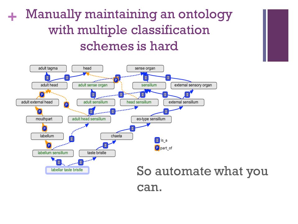 + So automate what you can.