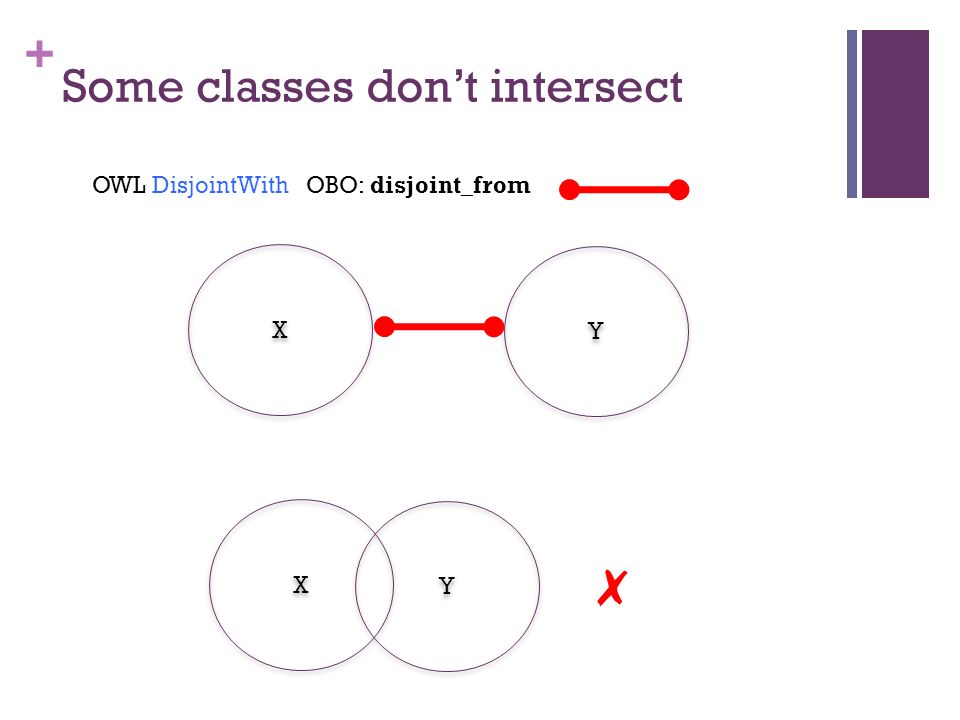 + Some classes don’t intersect X X ✗ Y Y X X Y Y OWL DisjointWith OBO: disjoint_from