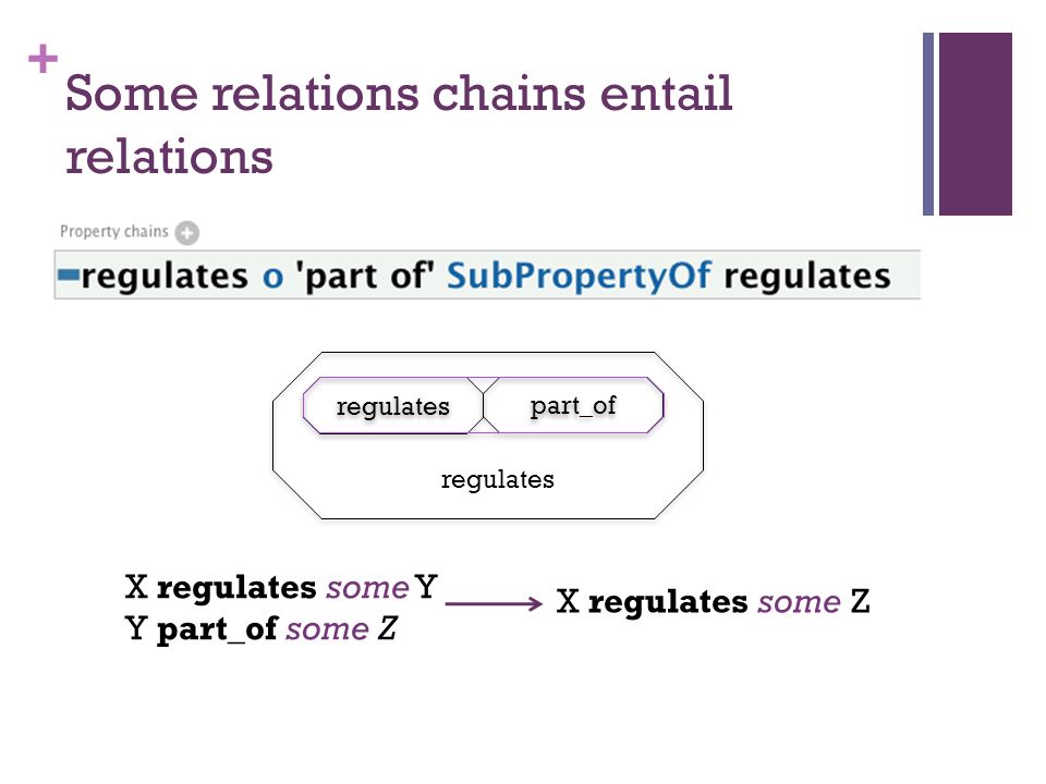 + Some relations chains entail relations X regulates some Y Y part_of some Z regulates part_of X regulates some Z