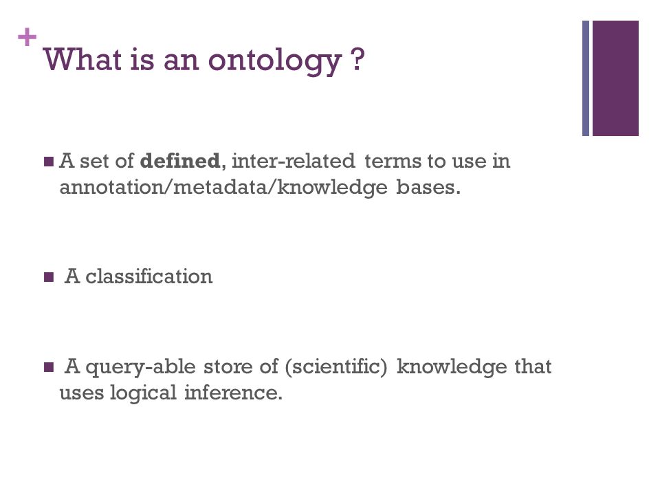 + What is an ontology .