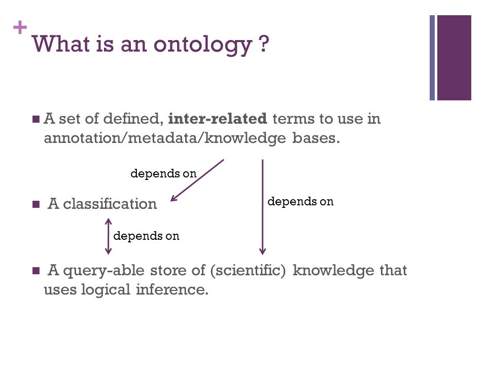 + What is an ontology .