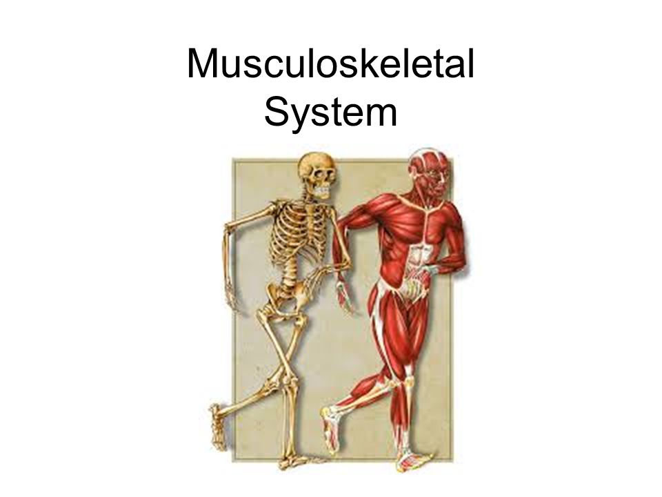 Гаряев матрица кости мышцы суставы. Мышцы и кости. Влияние спорта на скелет. Скелет человека. Здоровые суставы, кости, мышцы.