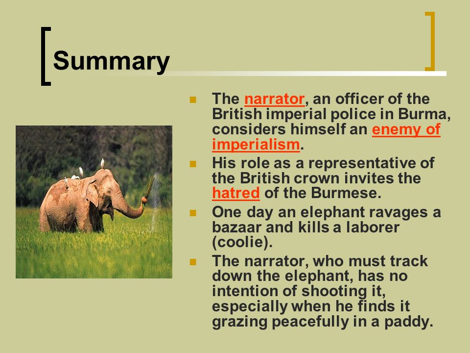 shooting an elephant summary