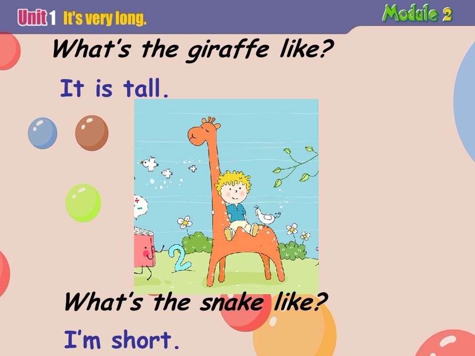 What’s the giraffe like What’s the snake like It is tall. I’m short.