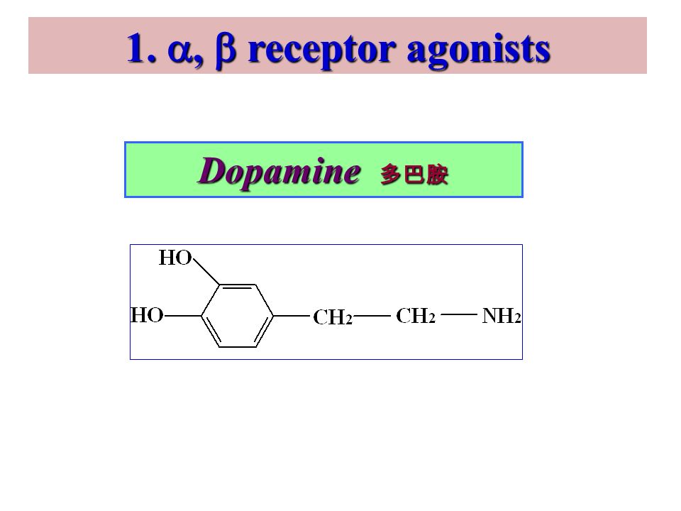 Dopamine 多巴胺 1. ,  receptor agonists