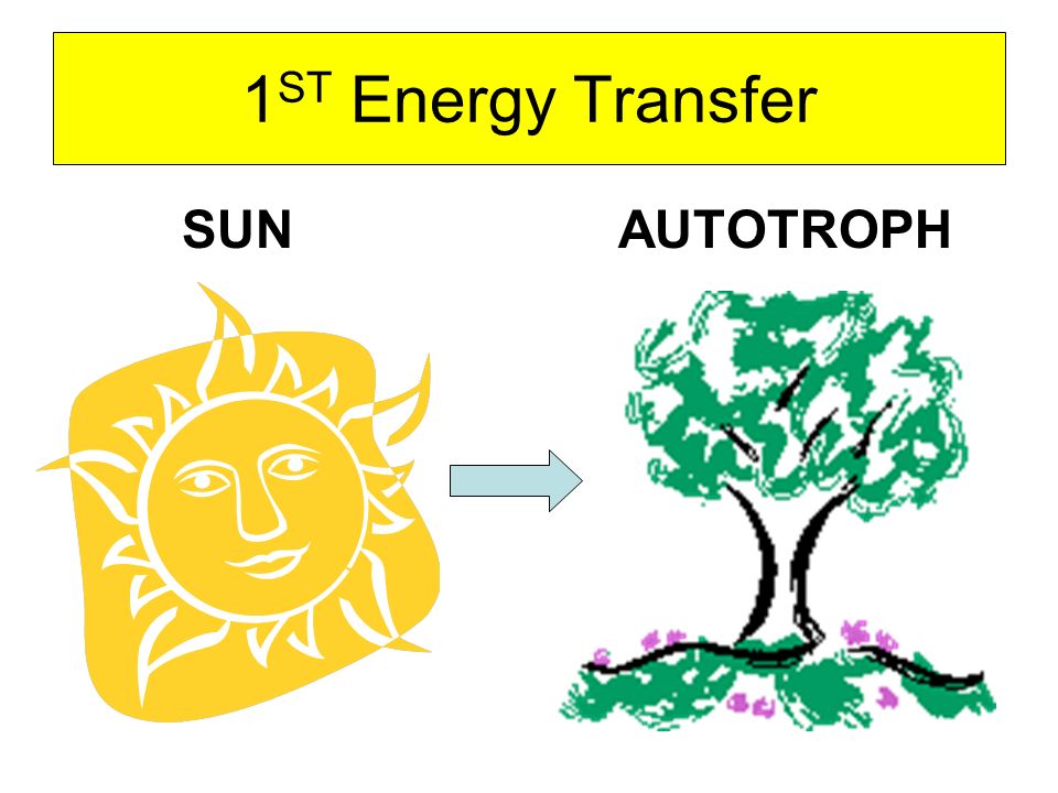 1 ST Energy Transfer SUN AUTOTROPH
