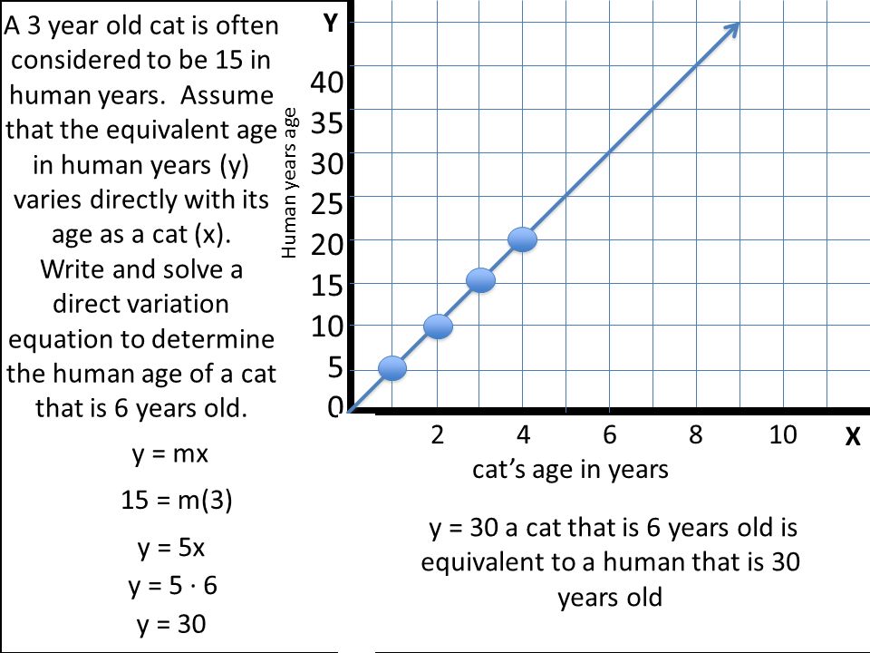Y X cat’s age in years Human years age A 3 year old cat is often considered to be 15 in human years.