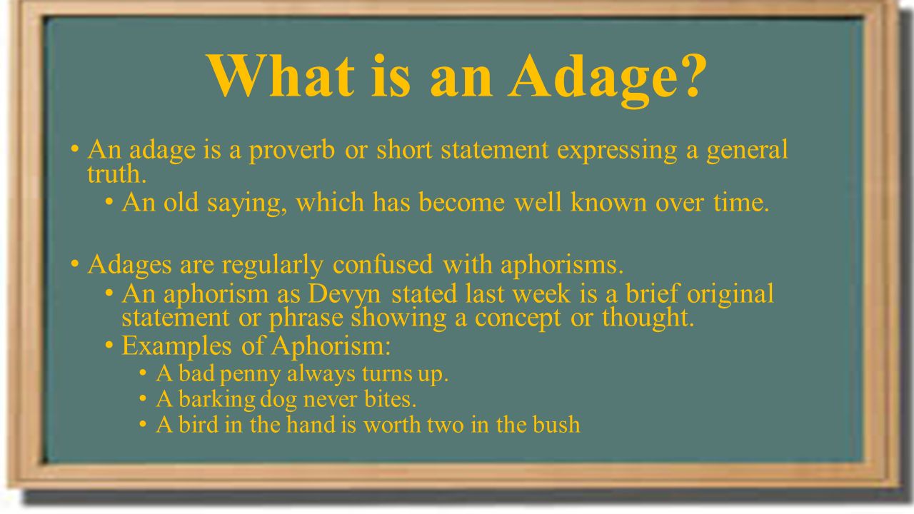 What are aphorisms 100 What are aphorisms 19