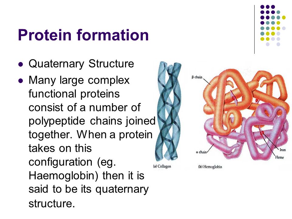 Protein formation Quaternary Structure Many large complex functional proteins consist of a number of polypeptide chains joined together.