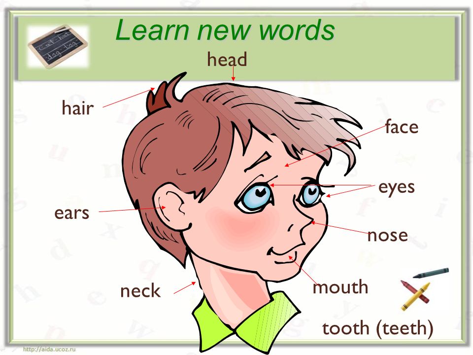 4 learn new words