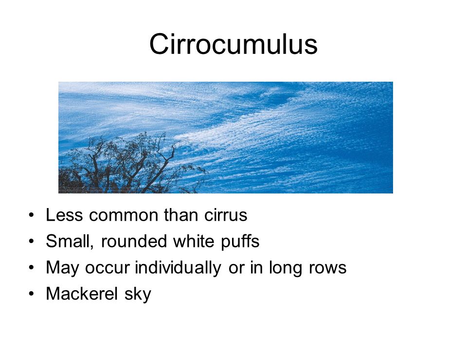 Cirrocumulus Less common than cirrus Small, rounded white puffs May occur individually or in long rows Mackerel sky