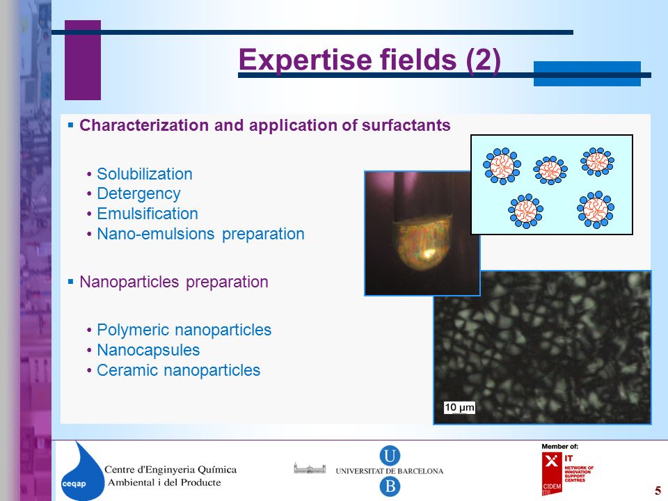 5 Expertise fields (2)  Characterization and application of surfactants Solubilization Detergency Emulsification Nano-emulsions preparation  Nanoparticles preparation Polymeric nanoparticles Nanocapsules Ceramic nanoparticles