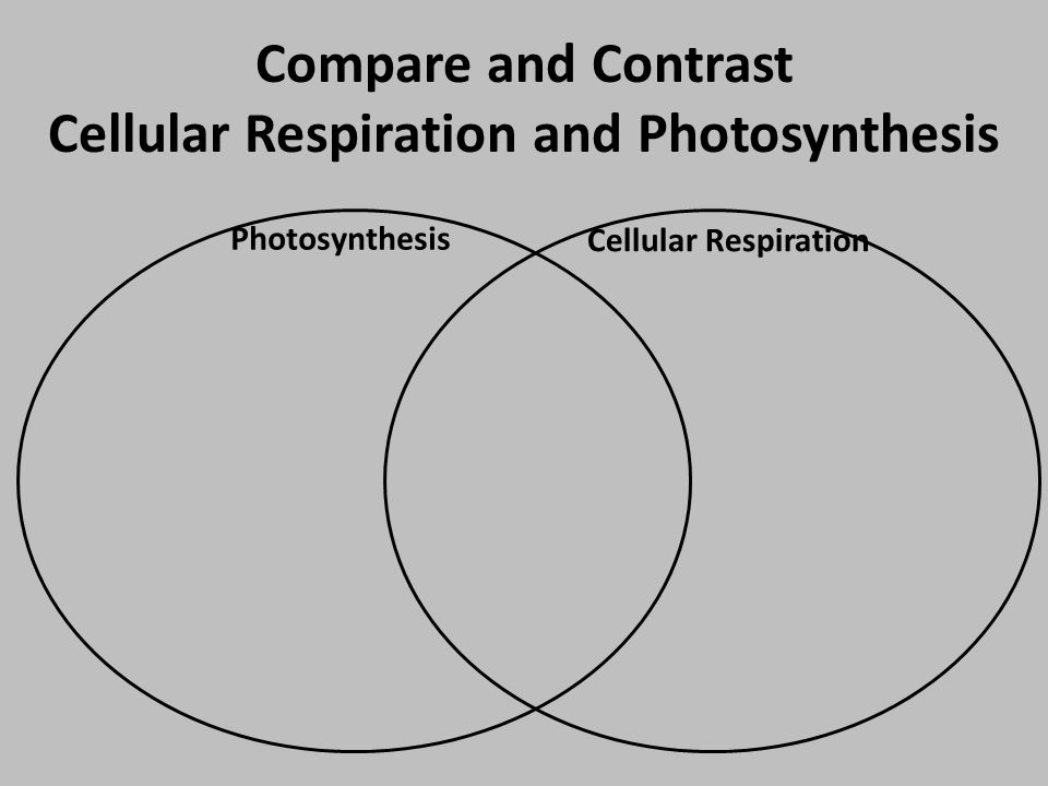 compare and contrast photosynthesis and cellular respiration