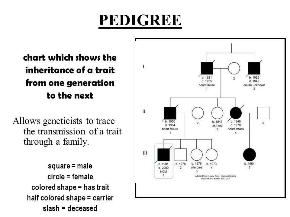 Asthma Pedigree Chart