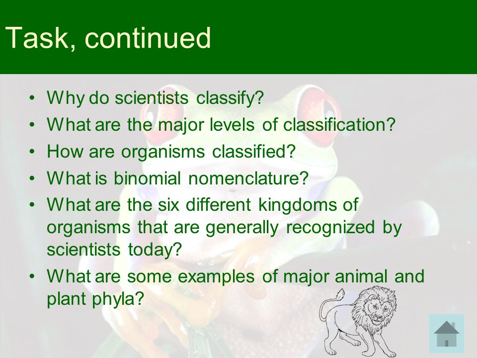what are some examples of major animal and plant phyla Prokaryote classification and diversity (article) | khan academy.
