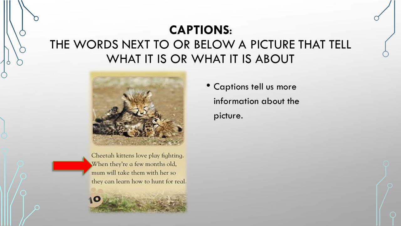 CAPTIONS: THE WORDS NEXT TO OR BELOW A PICTURE THAT TELL WHAT IT IS OR WHAT IT IS ABOUT Captions tell us more information about the picture.