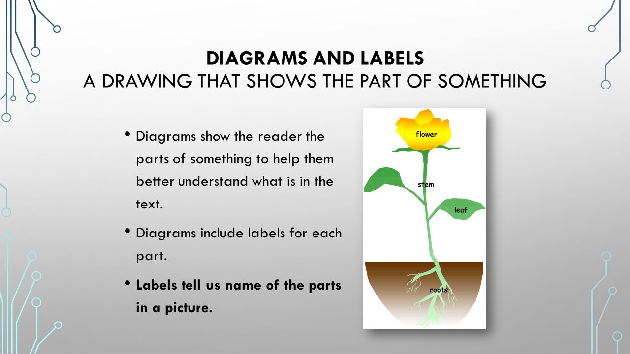 DIAGRAMS AND LABELS A DRAWING THAT SHOWS THE PART OF SOMETHING Diagrams show the reader the parts of something to help them better understand what is in the text.