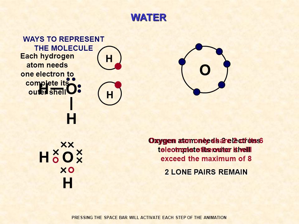 WATER O Each hydrogen atom needs one electron to complete its outer shell Oxygen atom needs 2 electrons to complete its outer shell Oxygen can only share 2 of its 6 electrons otherwise it will exceed the maximum of 8 2 LONE PAIRS REMAIN H H H O H H WAYS TO REPRESENT THE MOLECULE PRESSING THE SPACE BAR WILL ACTIVATE EACH STEP OF THE ANIMATION