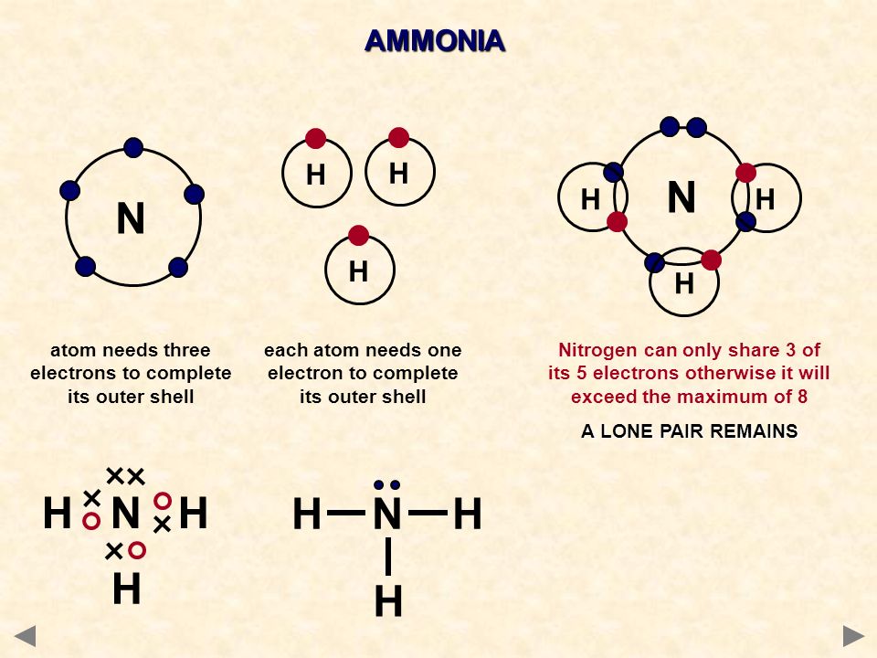 AMMONIA N H H H N H HH H N H H H each atom needs one electron to complete its outer shell atom needs three electrons to complete its outer shell Nitrogen can only share 3 of its 5 electrons otherwise it will exceed the maximum of 8 A LONE PAIR REMAINS
