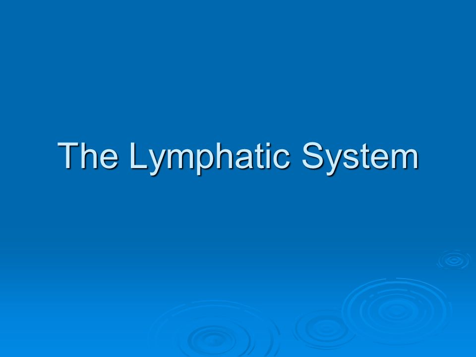 The Lymphatic System. The Function of the Lymphatic System The ...