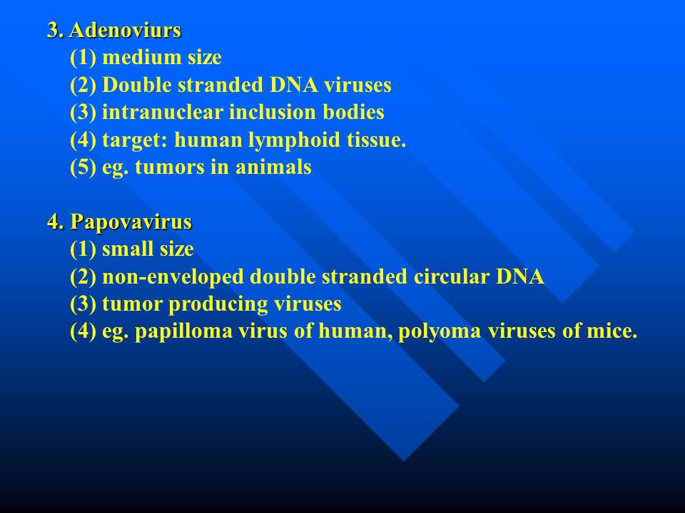 Viral Taxonomy 18 Groups 6 Are Dna Viruses 11 Are Rna Viruses And 1 Unclassified Dna Viruses 1 Poxvirus 1 The Largest Viruses 2 Enveloped Double Ppt Download Viral Taxonomy 18 Groups 6 Are Dna Viruses 11 Are Rna Viruses And 1 Unclassified Dna Viruses 1 Poxvirus 1 The Largest Viruses 2 Enveloped Double Ppt Download