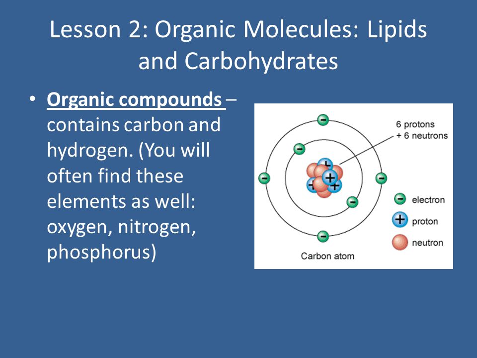 Lesson 2: Organic Molecules: Lipids and Carbohydrates Organic compounds – contains carbon and hydrogen.